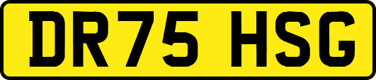 DR75HSG