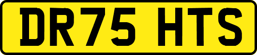 DR75HTS