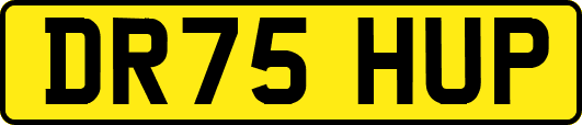 DR75HUP