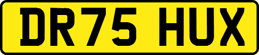 DR75HUX