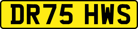DR75HWS