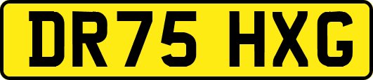 DR75HXG