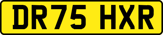 DR75HXR
