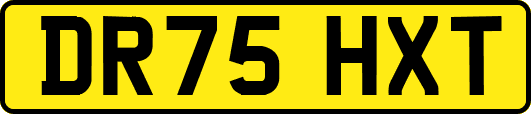 DR75HXT