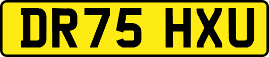 DR75HXU