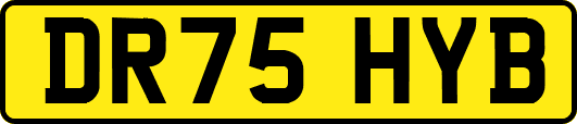 DR75HYB