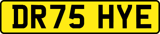 DR75HYE