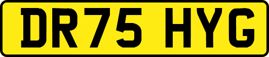 DR75HYG