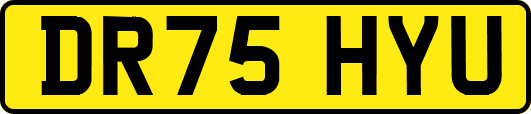 DR75HYU