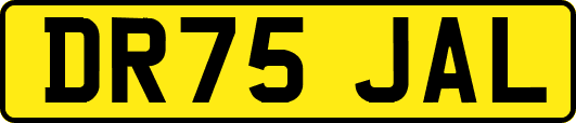 DR75JAL