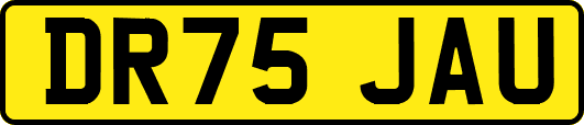 DR75JAU