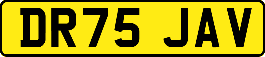 DR75JAV