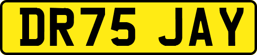 DR75JAY