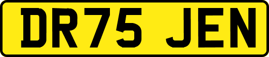 DR75JEN