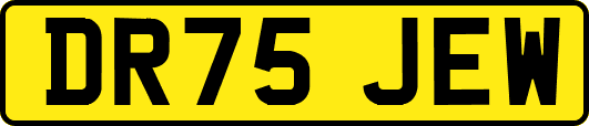 DR75JEW