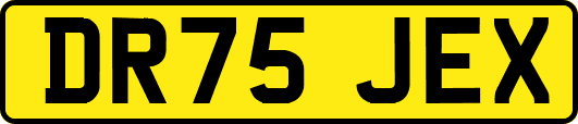 DR75JEX