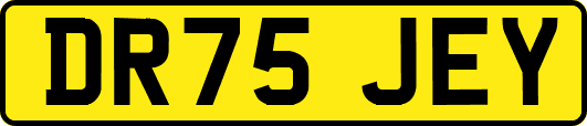 DR75JEY