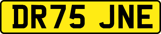 DR75JNE