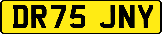 DR75JNY