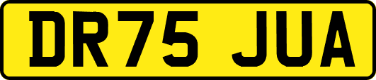 DR75JUA