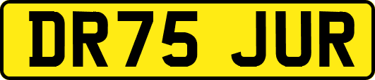 DR75JUR