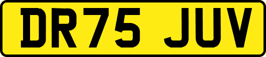 DR75JUV