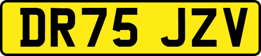 DR75JZV