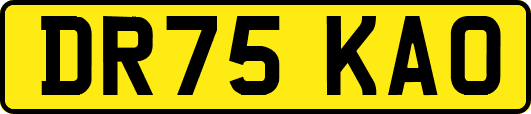 DR75KAO