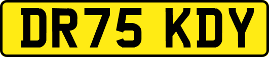 DR75KDY