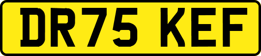 DR75KEF