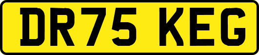 DR75KEG