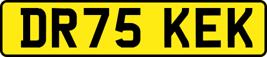 DR75KEK
