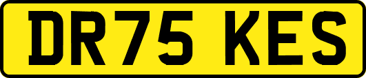 DR75KES