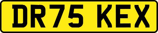 DR75KEX