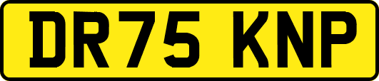 DR75KNP