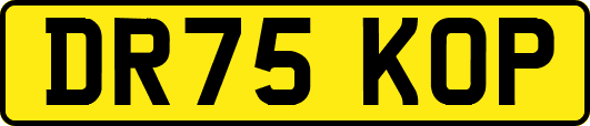 DR75KOP