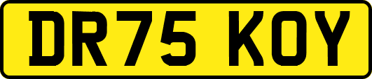 DR75KOY