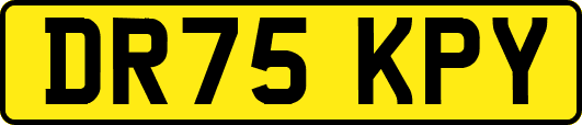 DR75KPY