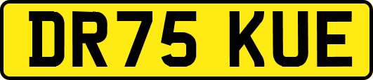 DR75KUE