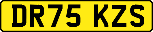 DR75KZS