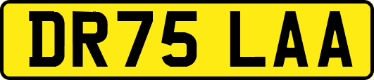 DR75LAA