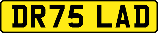 DR75LAD