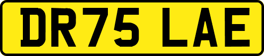 DR75LAE