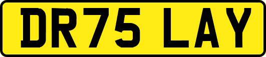 DR75LAY