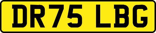 DR75LBG