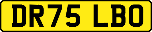 DR75LBO