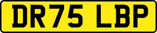 DR75LBP