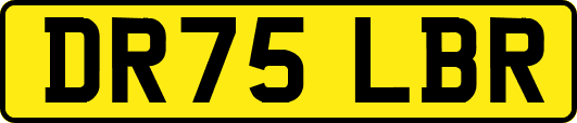 DR75LBR