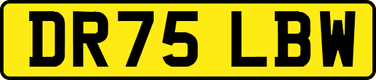 DR75LBW