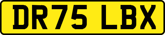 DR75LBX